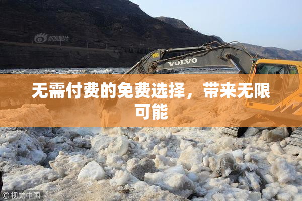 无需付费的免费选择，带来无限可能