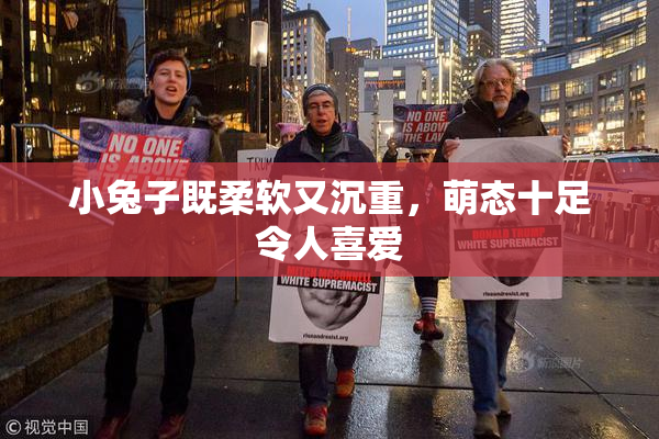 小兔子既柔软又沉重，萌态十足令人喜爱