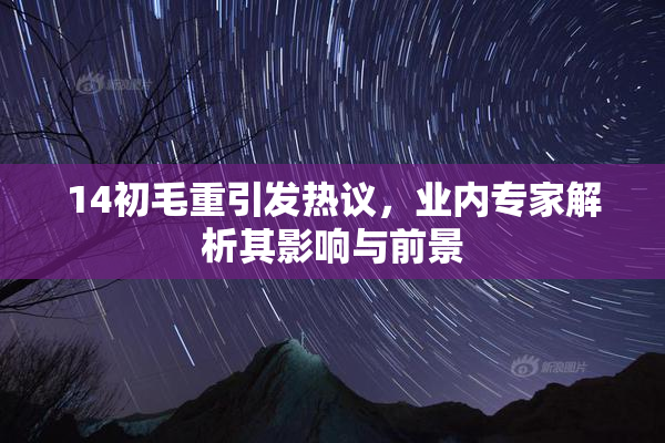14初毛重引发热议，业内专家解析其影响与前景
