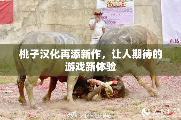 桃子汉化再添新作，让人期待的游戏新体验
