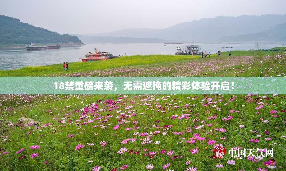 18禁重磅来袭，无需遮掩的精彩体验开启！