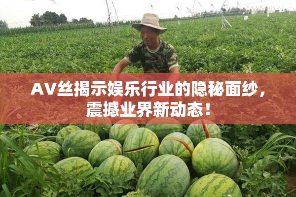 AV丝揭示娱乐行业的隐秘面纱，震撼业界新动态！