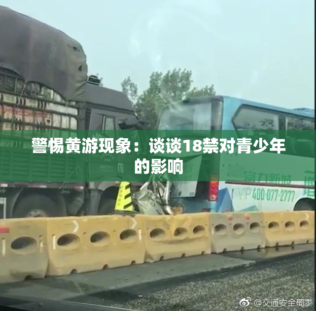 警惕黄游现象：谈谈18禁对青少年的影响