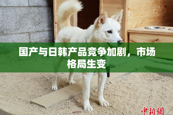 国产与日韩产品竞争加剧，市场格局生变