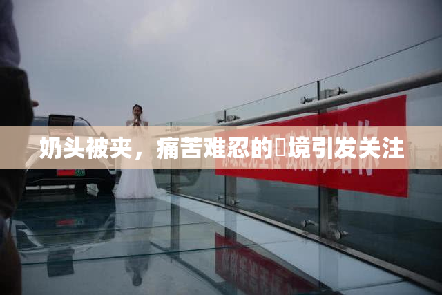 奶头被夹，痛苦难忍的囧境引发关注