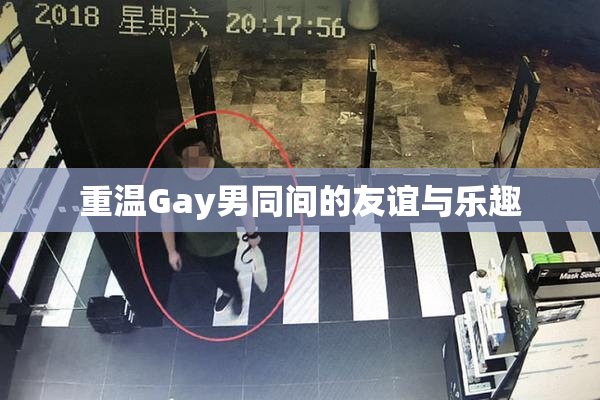 重温Gay男同间的友谊与乐趣