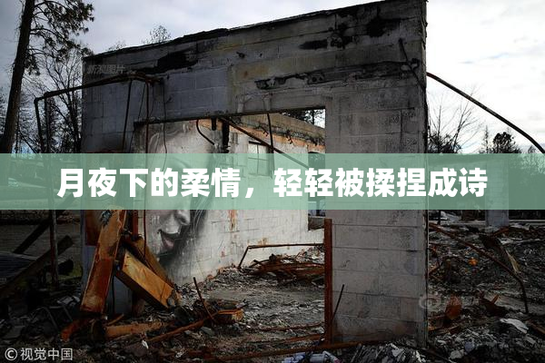 月夜下的柔情，轻轻被揉捏成诗