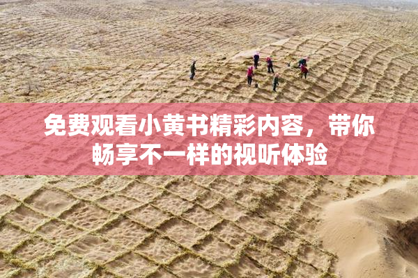 免费观看小黄书精彩内容，带你畅享不一样的视听体验