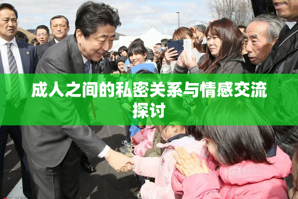 成人之间的私密关系与情感交流探讨