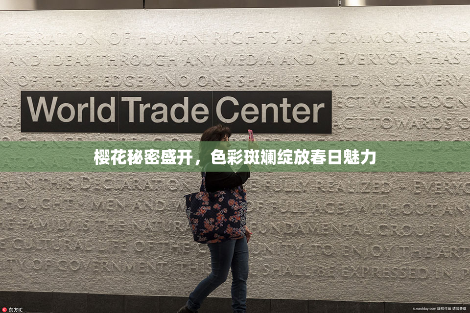 樱花秘密盛开，色彩斑斓绽放春日魅力