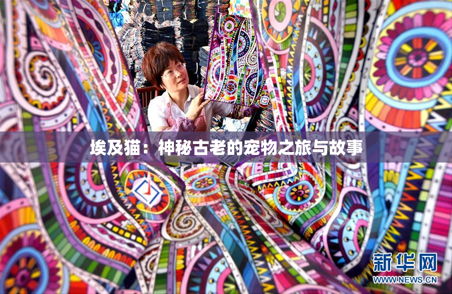 埃及猫：神秘古老的宠物之旅与故事