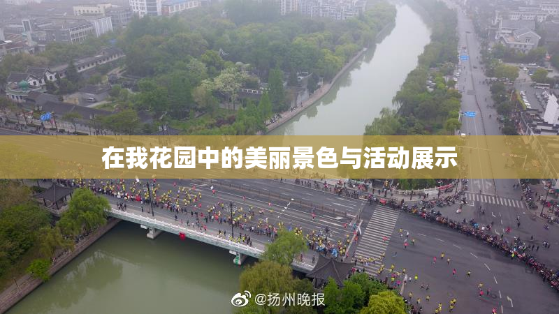 在我花园中的美丽景色与活动展示