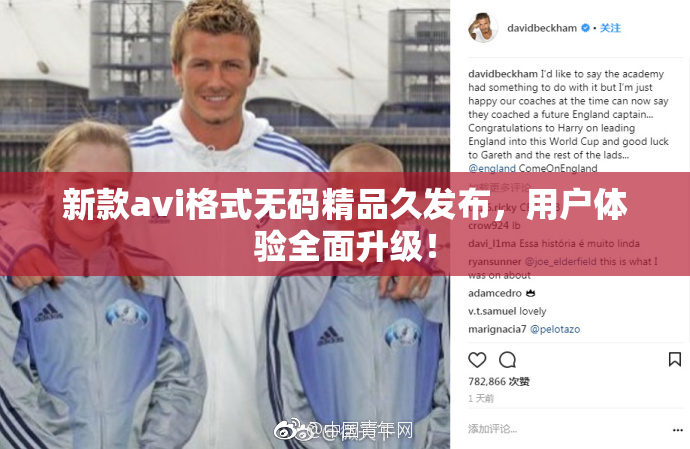 新款avi格式无码精品久发布，用户体验全面升级！