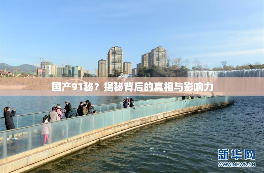 国产91秘？揭秘背后的真相与影响力