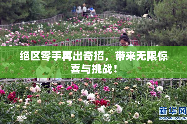 绝区零手再出奇招，带来无限惊喜与挑战！