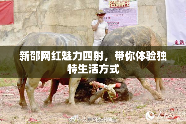 新邵网红魅力四射，带你体验独特生活方式