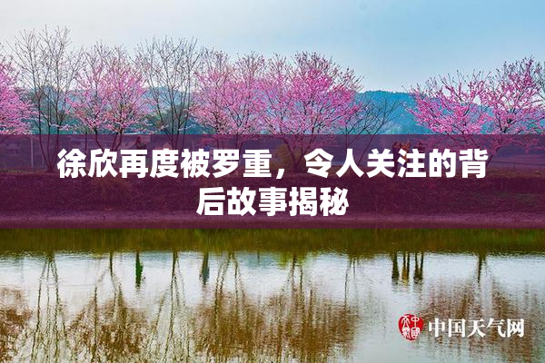 徐欣再度被罗重，令人关注的背后故事揭秘