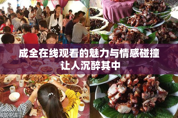 成全在线观看的魅力与情感碰撞 让人沉醉其中