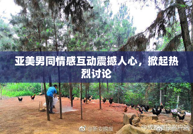 亚美男同情感互动震撼人心，掀起热烈讨论