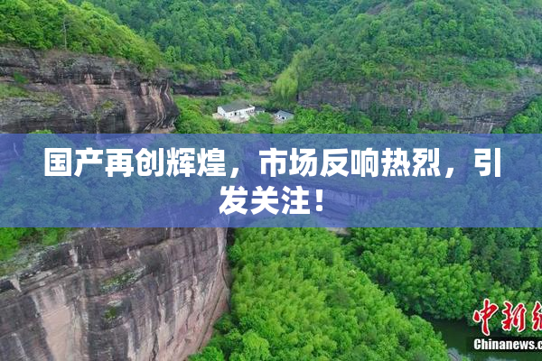 国产再创辉煌，市场反响热烈，引发关注！