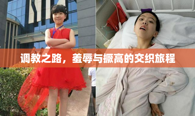 调教之路，羞辱与撅高的交织旅程