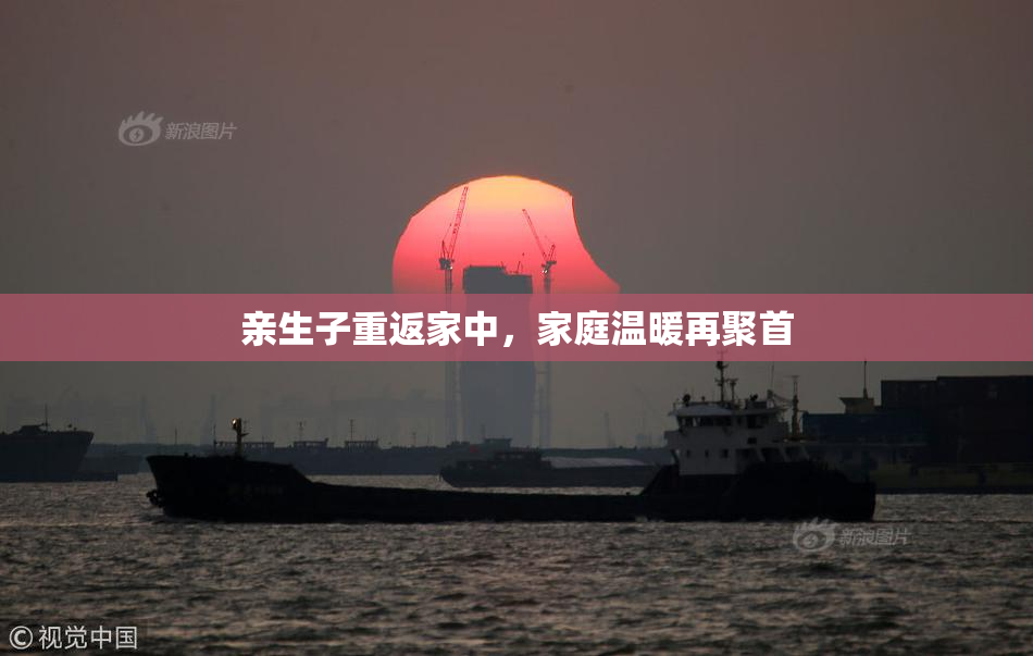亲生子重返家中，家庭温暖再聚首
