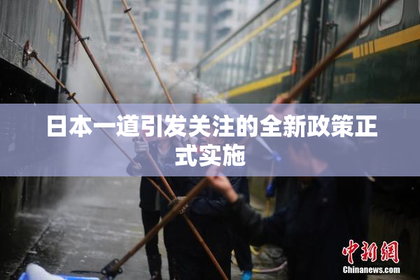 日本一道引发关注的全新政策正式实施