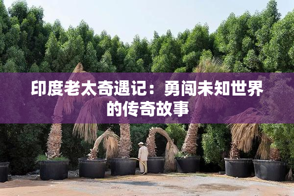 印度老太奇遇记：勇闯未知世界的传奇故事