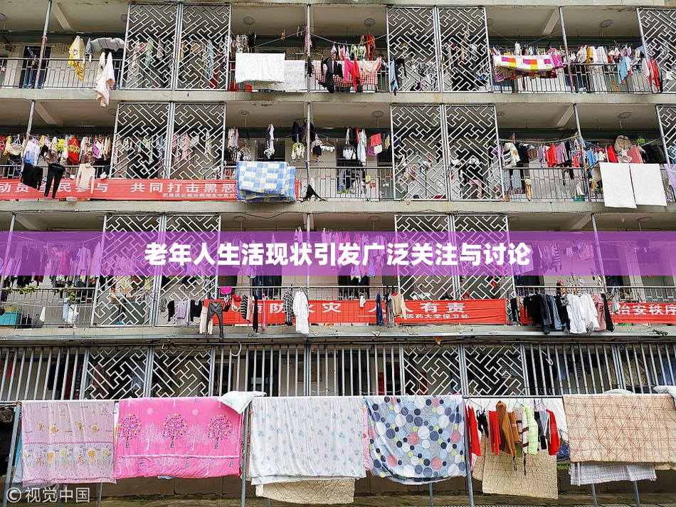 老年人生活现状引发广泛关注与讨论