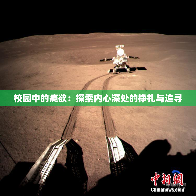 校园中的瘾欲：探索内心深处的挣扎与追寻