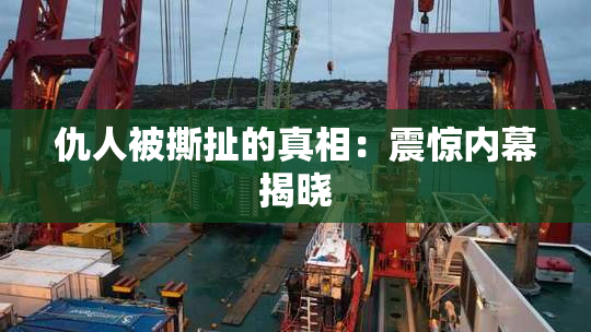 仇人被撕扯的真相：震惊内幕揭晓