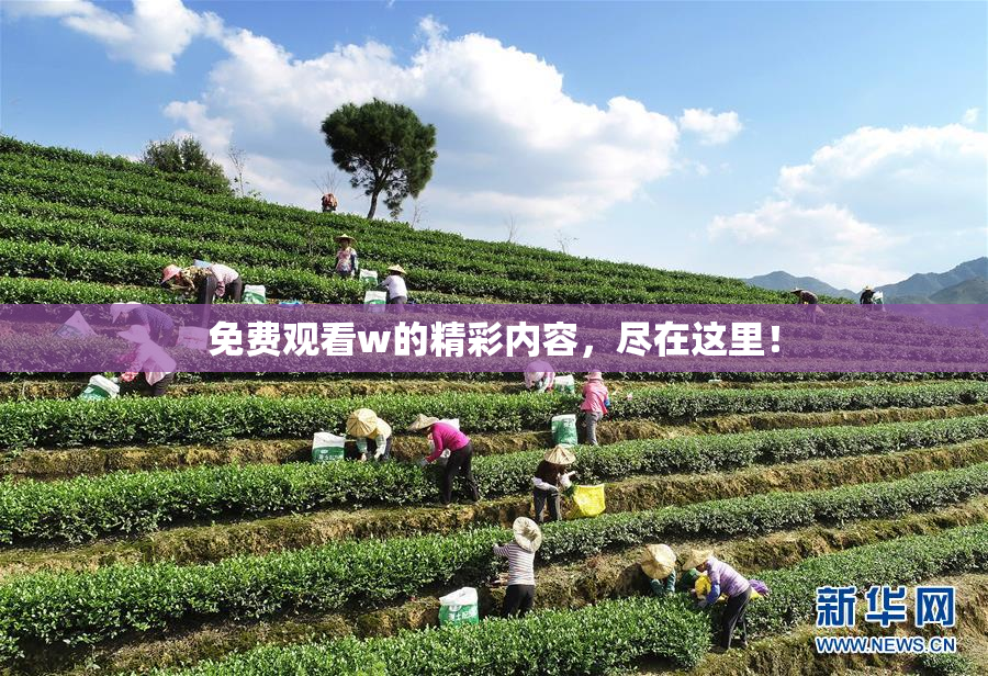 免费观看w的精彩内容，尽在这里！