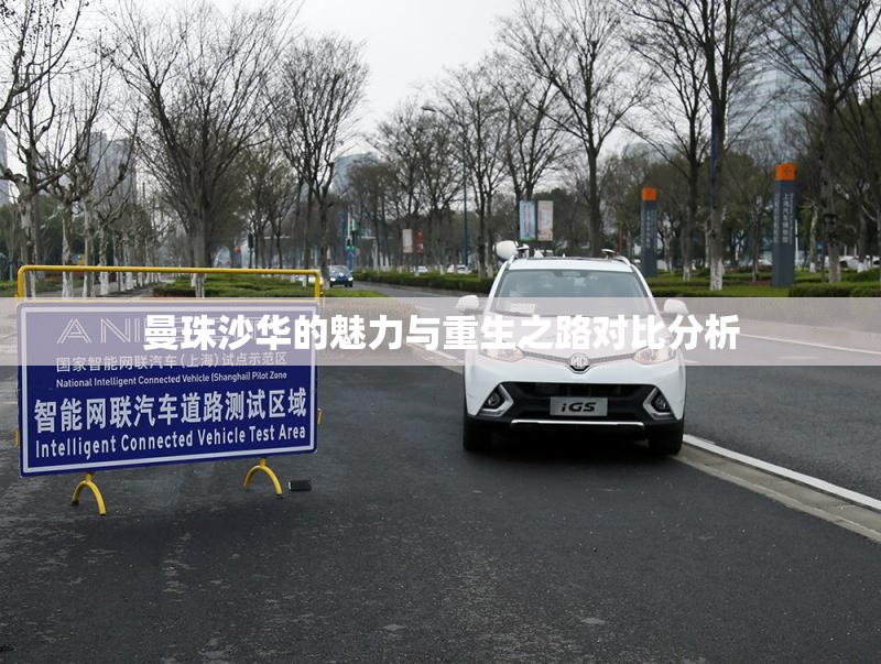 曼珠沙华的魅力与重生之路对比分析