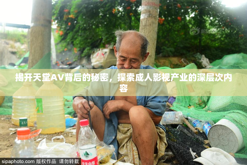 揭开天堂AV背后的秘密，探索成人影视产业的深层次内容