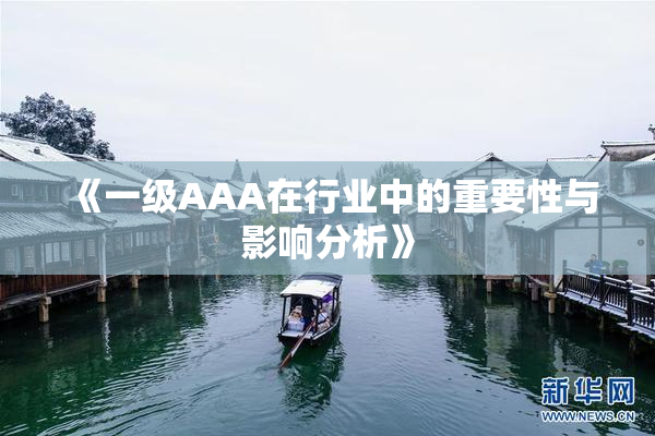 《一级AAA在行业中的重要性与影响分析》