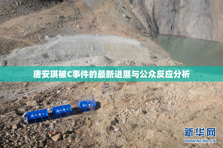 唐安琪被C事件的最新进展与公众反应分析
