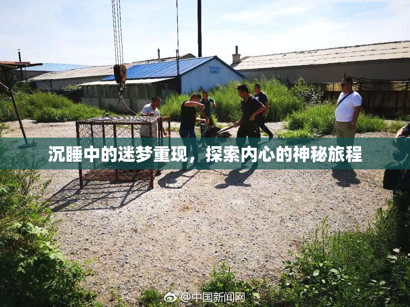 沉睡中的迷梦重现，探索内心的神秘旅程