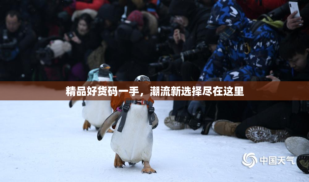 精品好货码一手，潮流新选择尽在这里