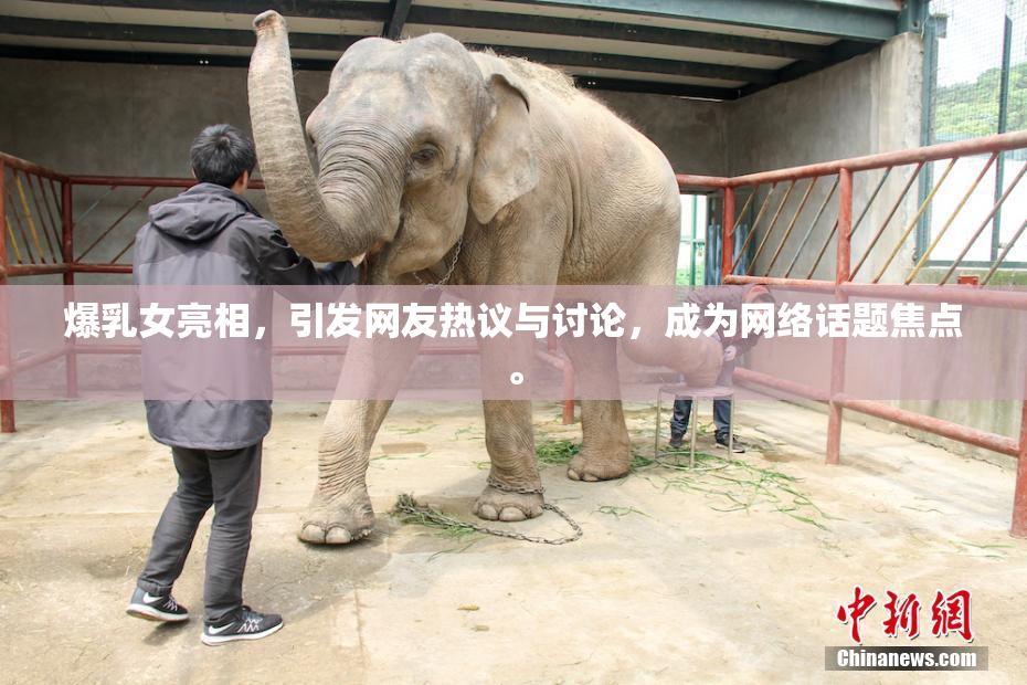爆乳女亮相，引发网友热议与讨论，成为网络话题焦点。