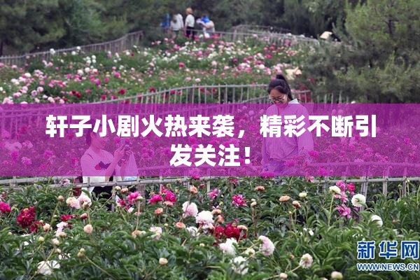 轩子小剧火热来袭，精彩不断引发关注！