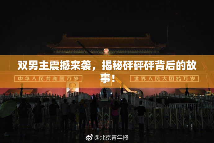 双男主震撼来袭，揭秘砰砰砰背后的故事！