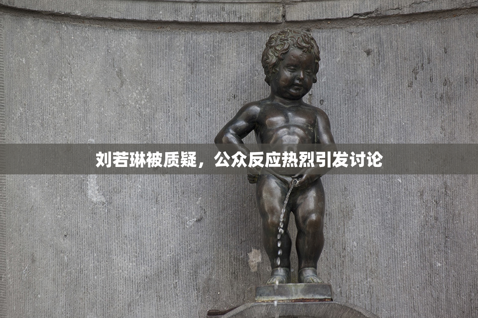 刘若琳被质疑，公众反应热烈引发讨论