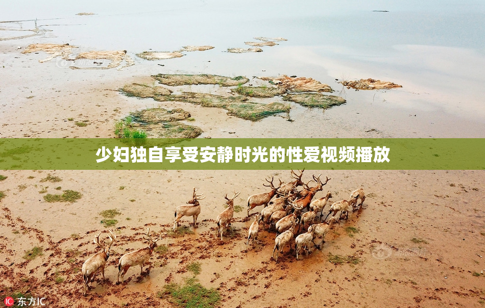 少妇独自享受安静时光的性爱视频播放