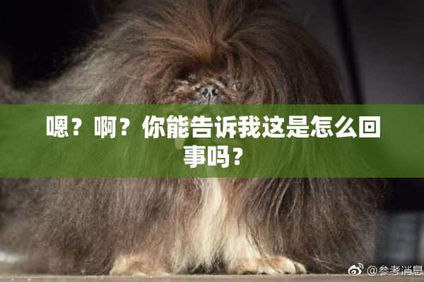 嗯？啊？你能告诉我这是怎么回事吗？