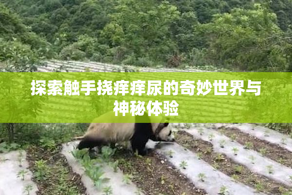 探索触手挠痒痒尿的奇妙世界与神秘体验