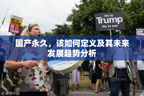 国产永久，该如何定义及其未来发展趋势分析