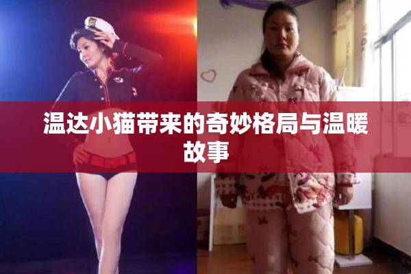 温达小猫带来的奇妙格局与温暖故事