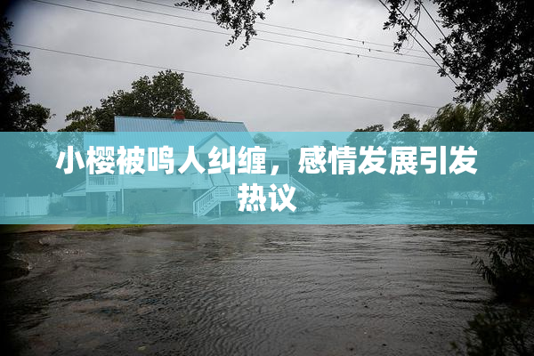 小樱被鸣人纠缠，感情发展引发热议