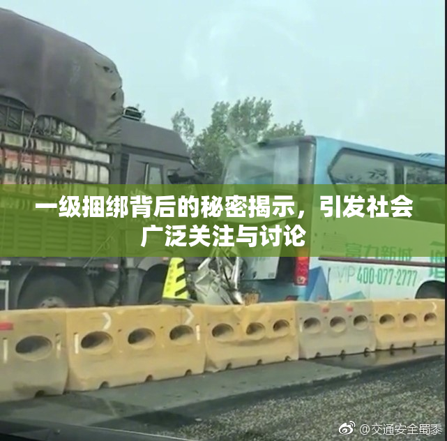 一级捆绑背后的秘密揭示，引发社会广泛关注与讨论