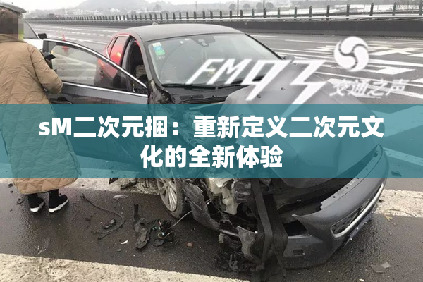 sM二次元捆：重新定义二次元文化的全新体验